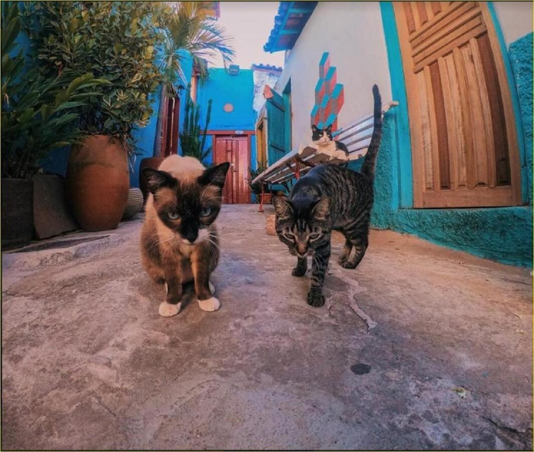 Viela Hostel レンソイス エクステリア 写真